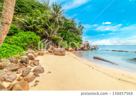 Small tropical cove with palm trees and rocks 138857568