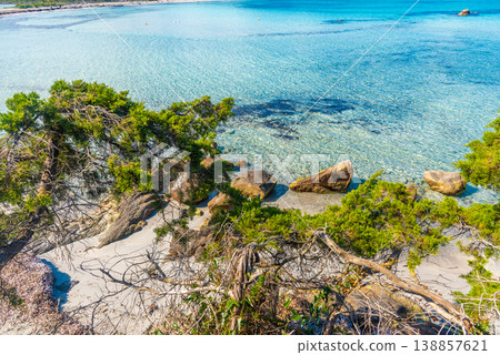 Vegetation by the sea in Lu Impostu beach Vegetation by the sea in Lu Impostu beach 138857621