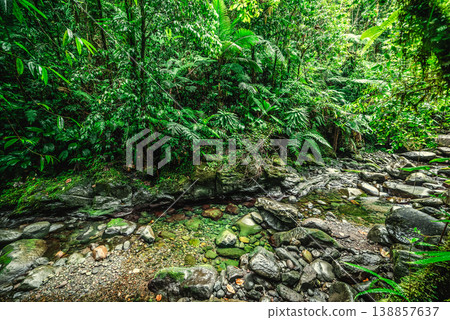 Creek in Basse Terre jungle Creek in Basse Terre jungle 138857637