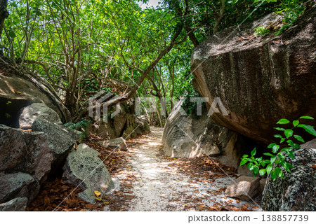 Sand path in the forest surrounded by granite boulders and tropical vegetation 138857739