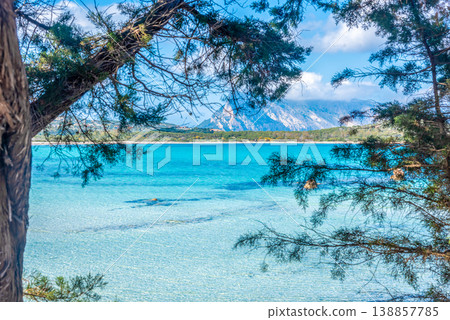 Blue sea and pine trees in Lu Impostu beach 138857785