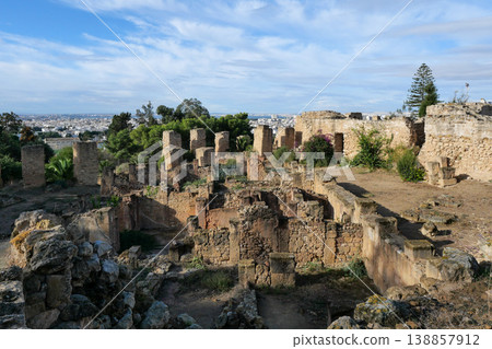 突尼斯，迦太基遺址，比爾薩山 138857912