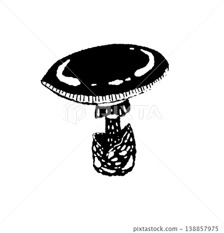 Monochrome hand-drawn illustration of a single Amanita caesarea (flat cap). Monochrome hand-drawn illustration of a single Amanita caesarea (flat cap). 138857975