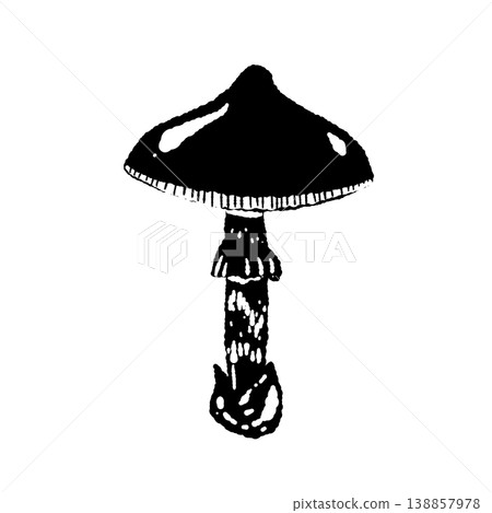 Monochrome hand-drawn illustration of a single Amanita caesarea (round cap). 138857978