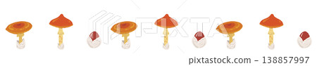 Randomly arranged line decoration/decorative border illustration material of Amanita caesarea. 138857997