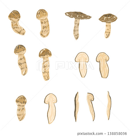 Hand-drawn illustration set of variations on matsutake mushrooms 138858036