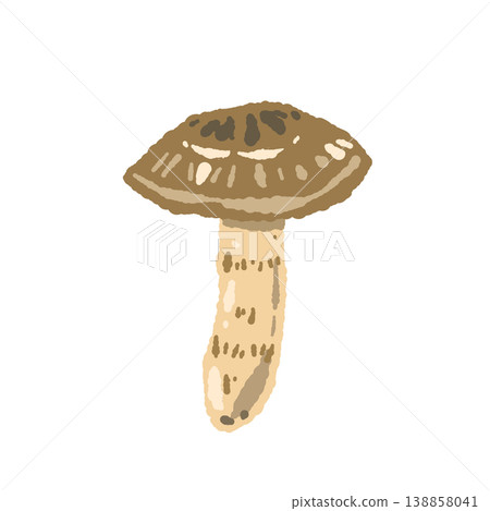 Hand-drawn illustration of a single, partially opened matsutake mushroom. Hand-drawn illustration of a single, partially opened matsutake mushroom. 138858041
