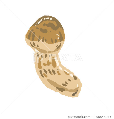 Hand-drawn illustrations of matsutake mushrooms (single, curved, different angles) 138858043