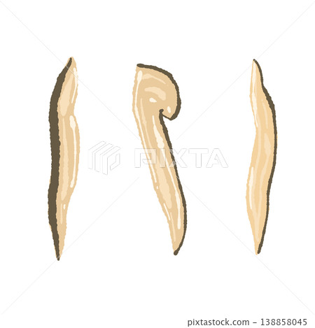 Hand-drawn illustration of matsutake mushrooms (sliced lengthwise) Hand-drawn illustration of matsutake mushrooms (sliced lengthwise) 138858045