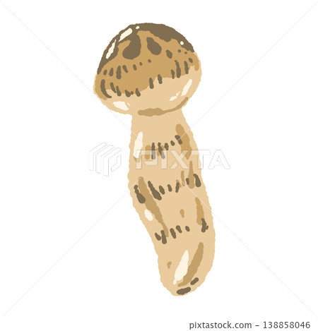 Hand-drawn illustration of a single matsutake mushroom (diagonal view) Hand-drawn illustration of a single matsutake mushroom (diagonal view) 138858046