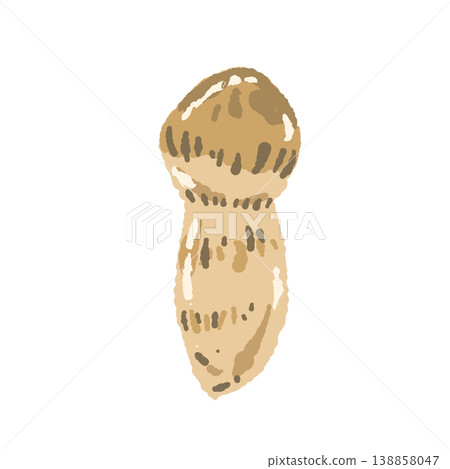 Hand-drawn illustration material of matsutake mushrooms (single and buds) 138858047