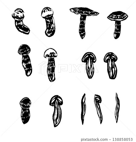 A set of monochrome hand-drawn illustrations of variations on matsutake mushrooms. A set of monochrome hand-drawn illustrations of variations on matsutake mushrooms. 138858053