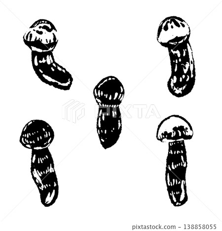 Black and white hand-drawn illustration material of matsutake mushrooms (scattered arrangement) 138858055