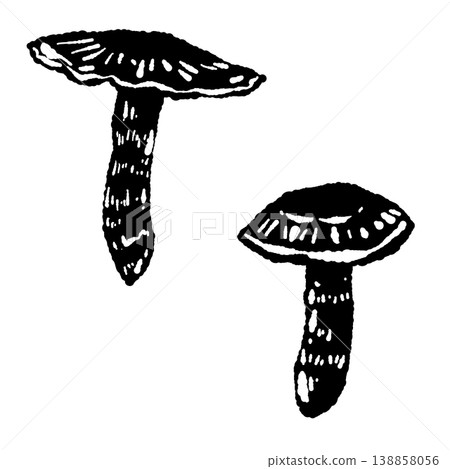 A monochrome, hand-drawn illustration of two matsutake mushrooms (a pair). 138858056
