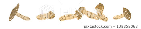Matsutake mushroom (sideways, mixed) line decoration/decorative border illustration material Matsutake mushroom (sideways, mixed) line decoration/decorative border illustration material 138858068
