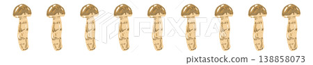 Matsutake mushroom (straight, aligned) line decoration/decorative border illustration material Matsutake mushroom (straight, aligned) line decoration/decorative border illustration material 138858073