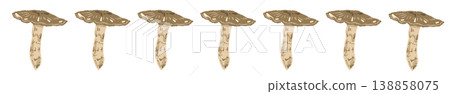 Matsutake mushroom (large, aligned) line decoration/decorative border illustration material 138858075