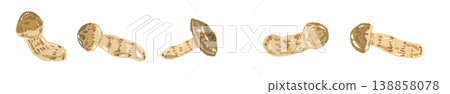 Matsutake mushroom (sideways, random) line decoration/decorative border illustration material 138858078