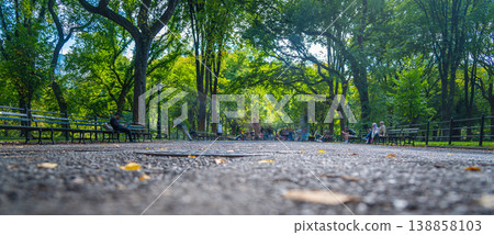 Famous Literary Walk in Central Park seen from the ground Famous Literary Walk in Central Park seen from the ground 138858103