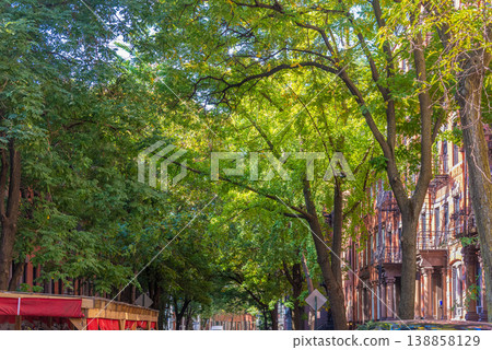 Orange trees in Greenwich Village on a sunny day Orange trees in Greenwich Village on a sunny day 138858129