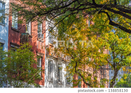Trees by an elegant facade in Greenwich village in Manhattan Trees by an elegant facade in Greenwich village in Manhattan 138858130