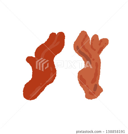 手繪插圖，描繪了兩朵角狀小菇（一對）。 138858191