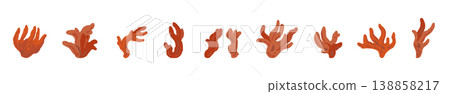 Various shapes of line decorations and decorative border illustrations of the fire coral mushroom. Various shapes of line decorations and decorative border illustrations of the fire coral mushroom. 138858217