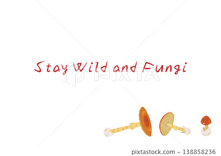 橫向菜單/卡片模板,上面有多個側放的鵝膏菌。 橫向菜單/卡片模板,上面有多個側放的鵝膏菌。 138858236