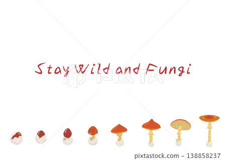 適用於多種 Amanita caesarea 蘑菇的橫向菜單/卡片模板。 適用於多種 Amanita caesarea 蘑菇的橫向菜單/卡片模板。 138858237