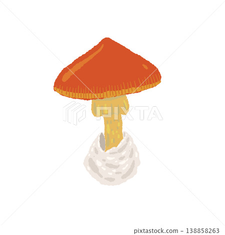 Hand-drawn illustration of Amanita caesarea (single mushroom, bell-shaped) Hand-drawn illustration of Amanita caesarea (single mushroom, bell-shaped) 138858263