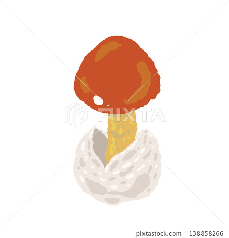 手繪的凱撒鵝膏菌（單一蘑菇，處於生長初期）插圖 138858266