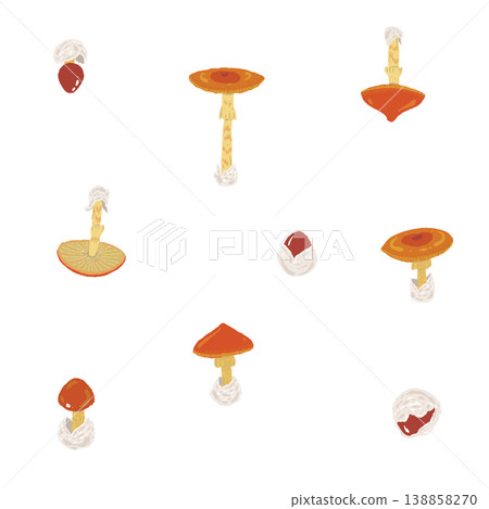 手繪的凱撒利亞鵝膏菌插圖素材（散佈排列） 138858270