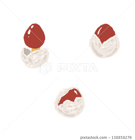 手繪插圖，描繪了兩朵幼小的凱撒鵝膏菌。 138858276