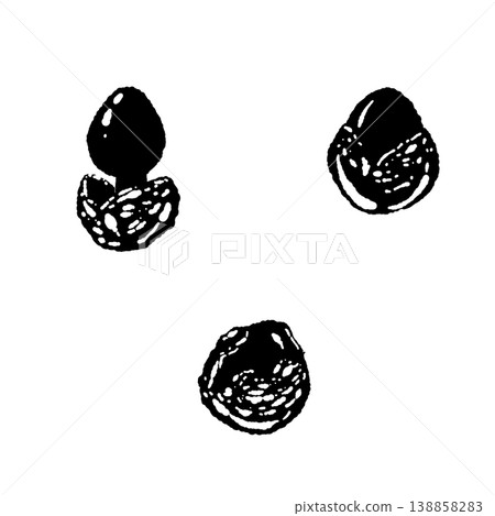 A monochrome, hand-drawn illustration of two young Amanita caesarea mushrooms. 138858283