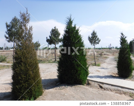 烏茲別克的空地 138858367