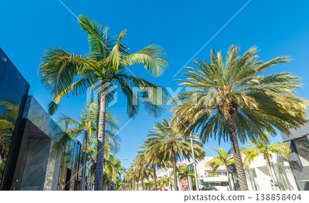 Palm trees and luxury stores in world famous Rodeo Drive in Beverly Hills Palm trees and luxury stores in world famous Rodeo Drive in Beverly Hills 138858404