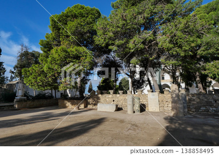 Tunisia, Carthage Ruins, Byrsa Hill Tunisia, Carthage Ruins, Byrsa Hill 138858495