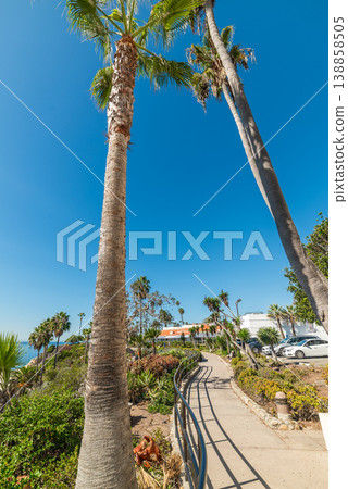 Walkpath by the sea in Laguna Beach 138858505