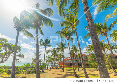 Palms by the sea in Bas du Fort 138858580
