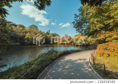 Walkpath in world famous Central Park in autumn Walkpath in world famous Central Park in autumn 138858589