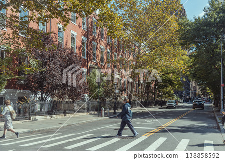 Zebra crossing in Greenwich Village on a sunny day 138858592