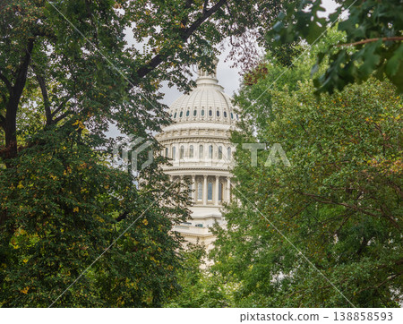 World famous United States Capitol Building seen thorugh green trees 138858593