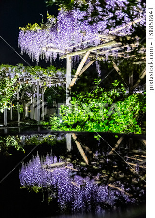 Light-up event ~Kameido Tenjin Wisteria Festival, Part 7~ Light-up event ~Kameido Tenjin Wisteria Festival, Part 7~ 138858641