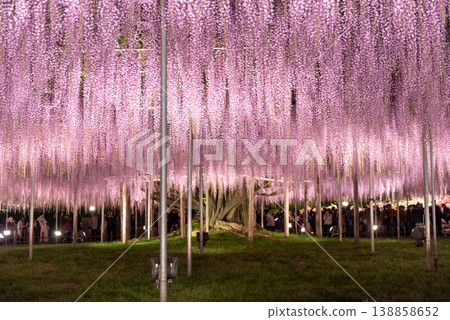 足利花卉公園燈光秀 - 第三部分 138858652