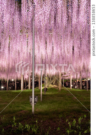 足利花卉公園燈光秀 - 第四部分 足利花卉公園燈光秀 - 第四部分 138858653