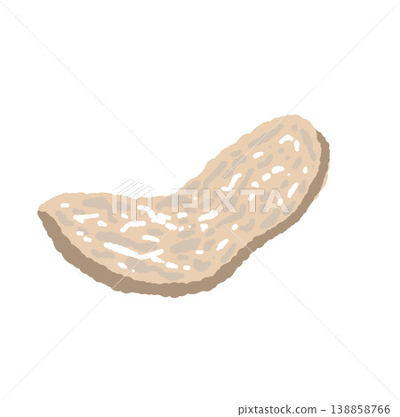 Hand-drawn illustration of a white truffle (single, long slice) Hand-drawn illustration of a white truffle (single, long slice) 138858766