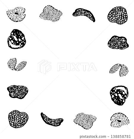 A monochrome, hand-drawn illustration of a truffle in a square frame. A monochrome, hand-drawn illustration of a truffle in a square frame. 138858781