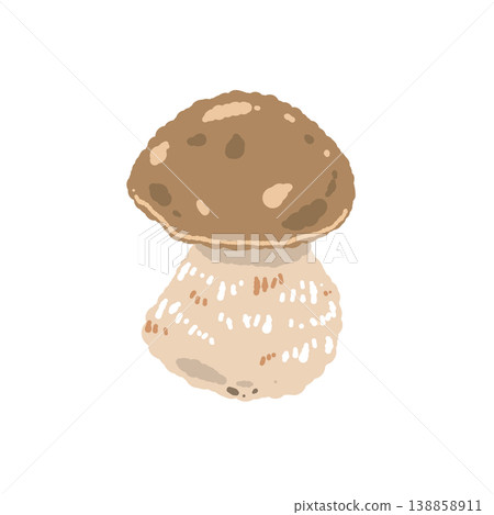 Hand-drawn illustration of a porcini mushroom (single, front view) 138858911