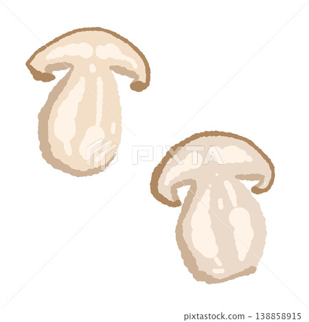 手繪牛肝菌插圖(橫切面切片,2 片) 手繪牛肝菌插圖(橫切面切片,2 片) 138858915