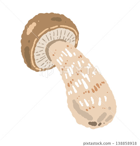 Hand-drawn illustration of a porcini mushroom (single, diagonally arranged). Hand-drawn illustration of a porcini mushroom (single, diagonally arranged). 138858918